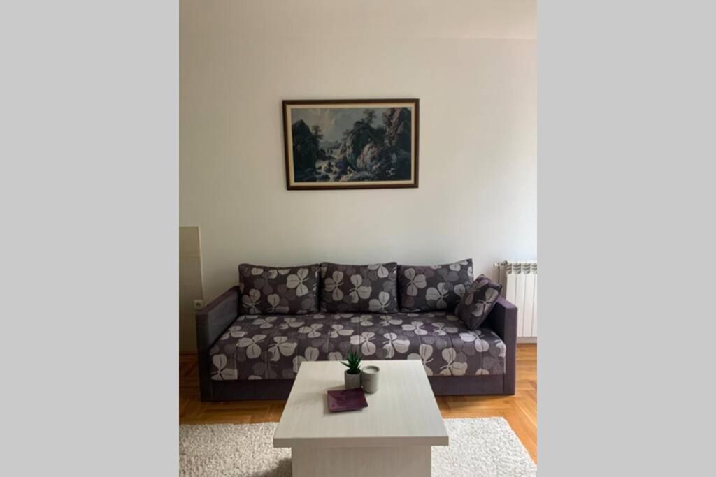 Renovated Cozy Studio 7 At Top Location - Available For Long Term Rentals Nowy Sad Zewnętrze zdjęcie